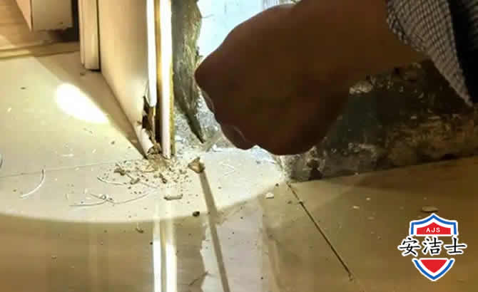 东方房屋建筑防治白蚁