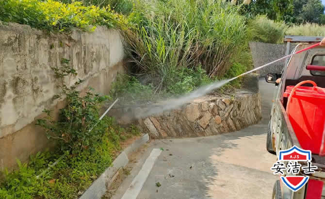 东方道路堤坝白蚁防治