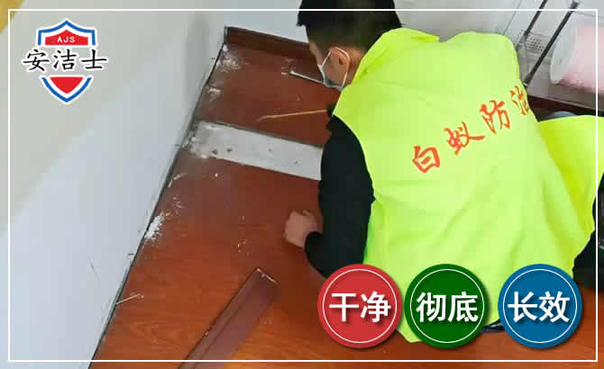 东方除四害现场