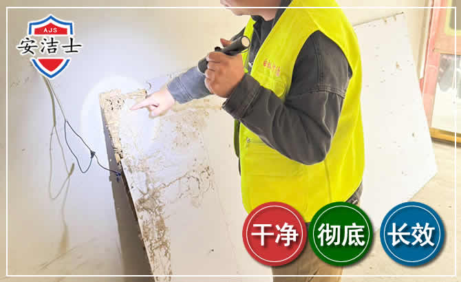 东方除白蚁现场