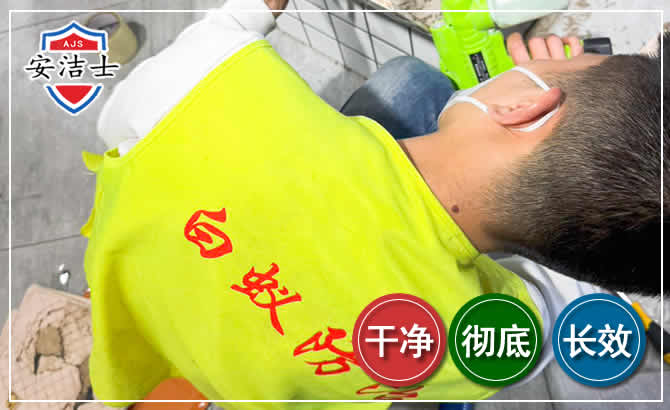 东方白蚁根治现场